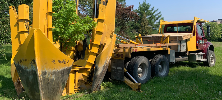 A large tree spade machine plants a tree